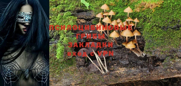прущая мука Абаза