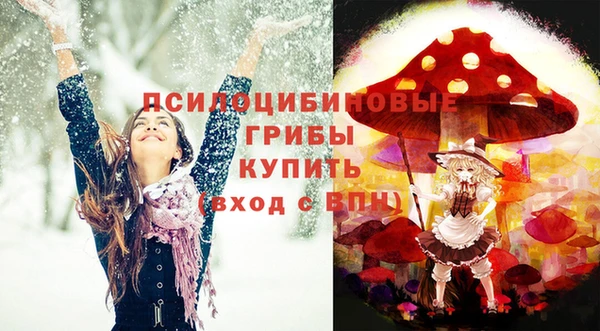 гидропоника Абдулино