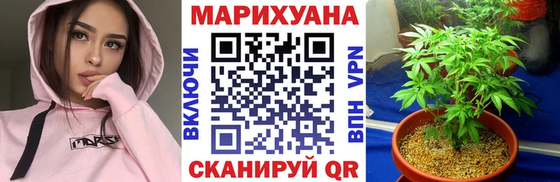 Канабис Bruce Banner  наркошоп  Истра 